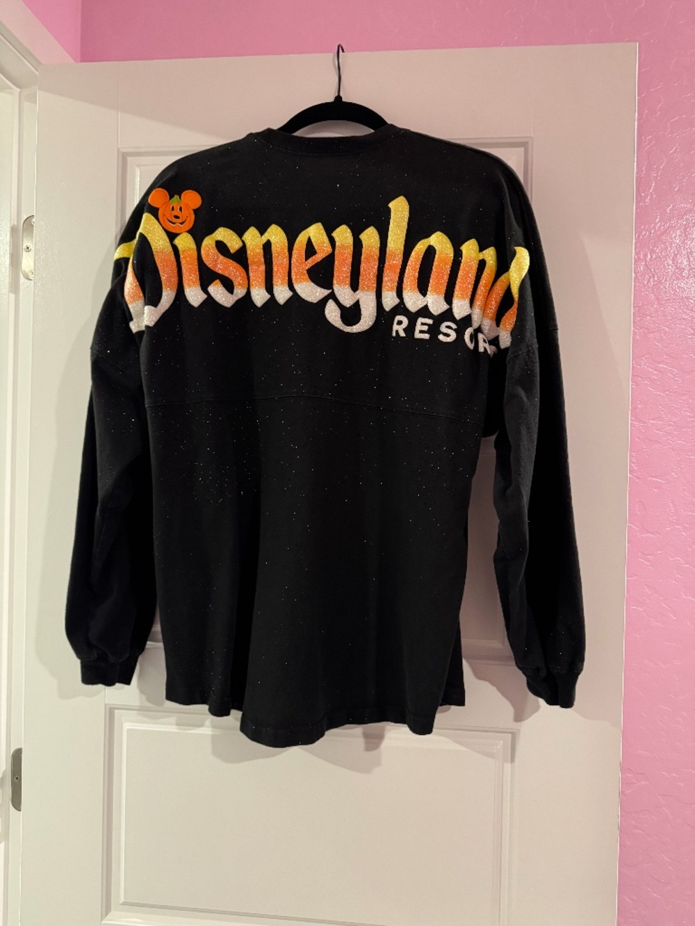 Disneyland Halloween Spirit Jersey - Adult Medium
